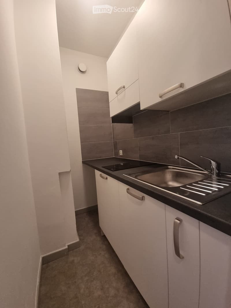 Möbliertes Einzimmerapartment in Lugano (3)