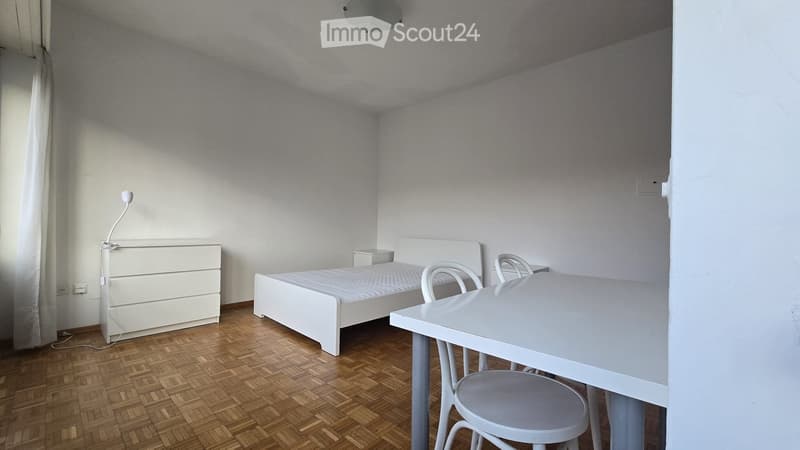 Möbliertes Einzimmerapartment in Lugano (1)