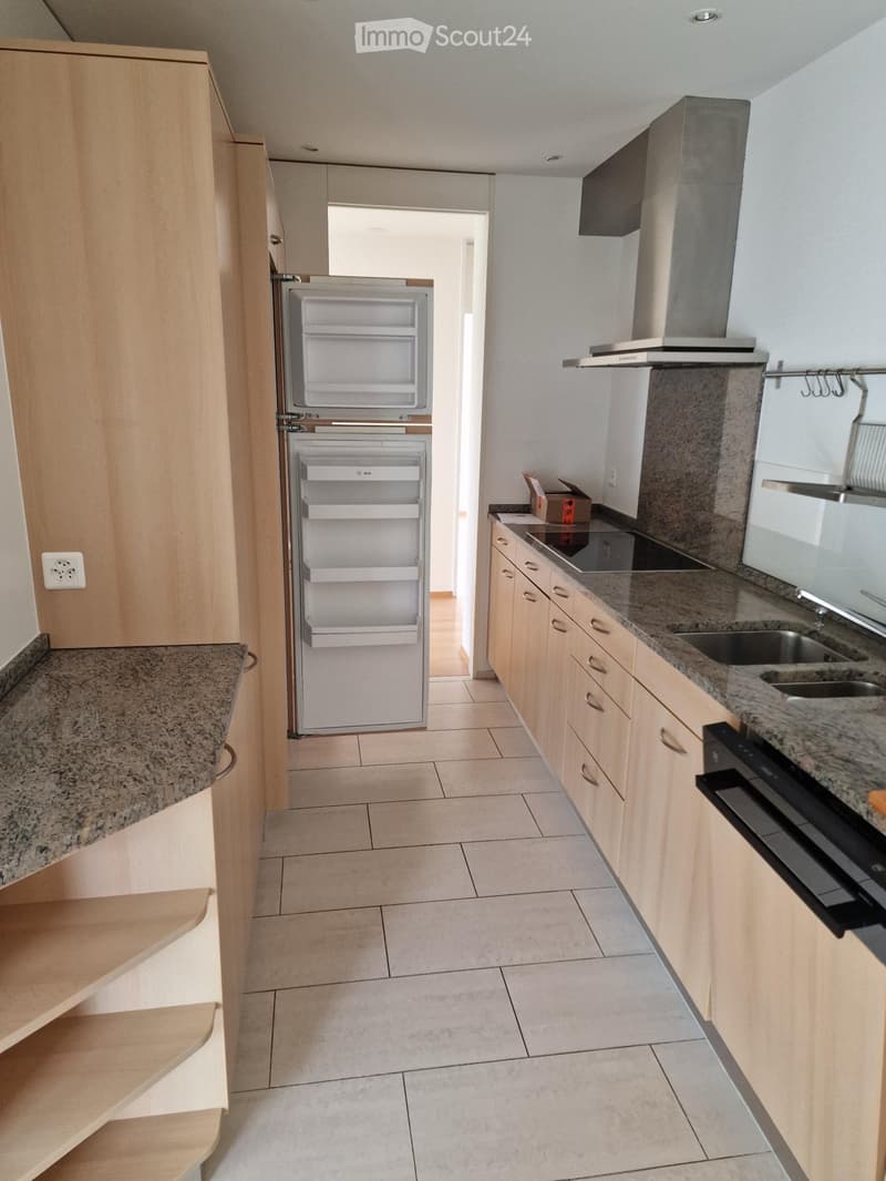 Sunny 4.5-Room Apartment with Panoramic Views Zurich 8041 (3)