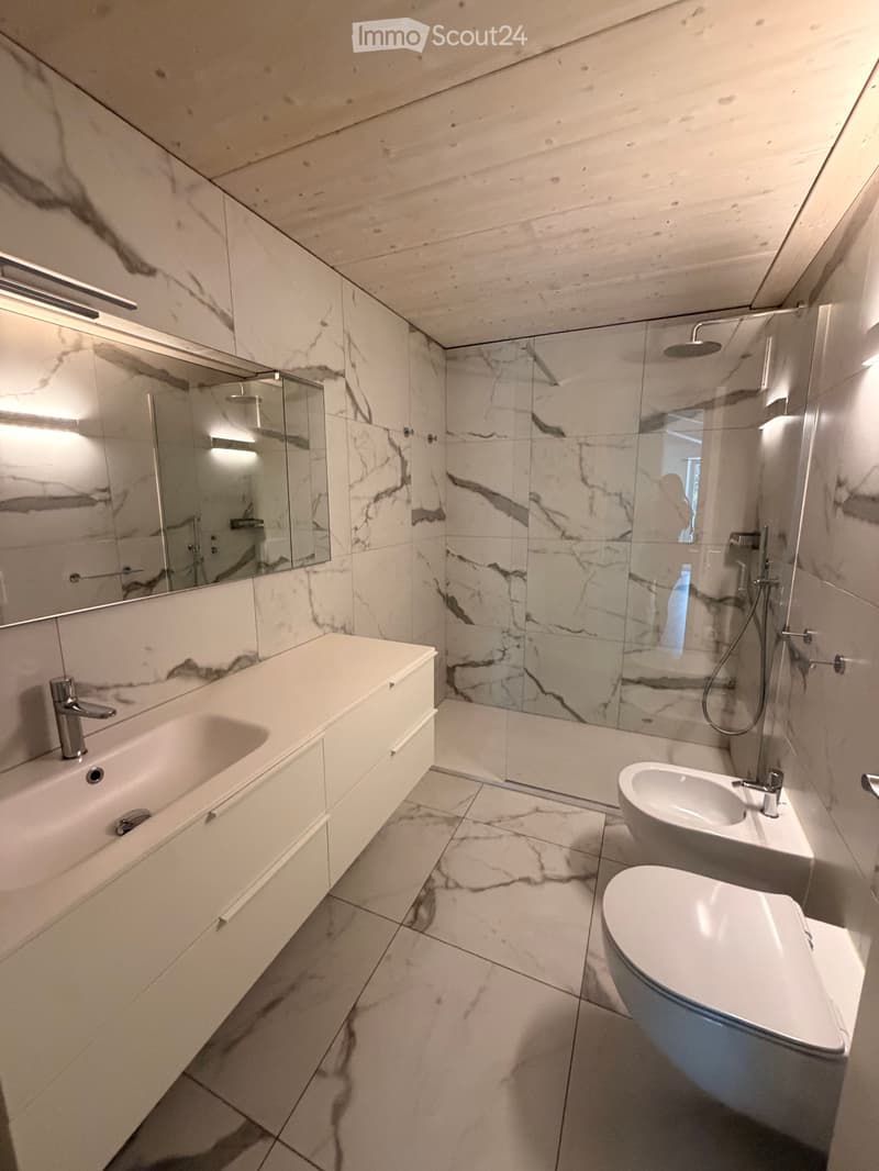 Exclusive prestige apartment (3)