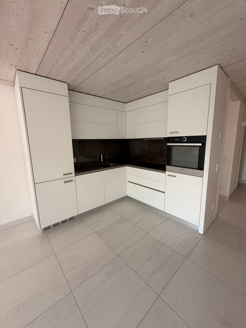 Exclusive prestige apartment (4)