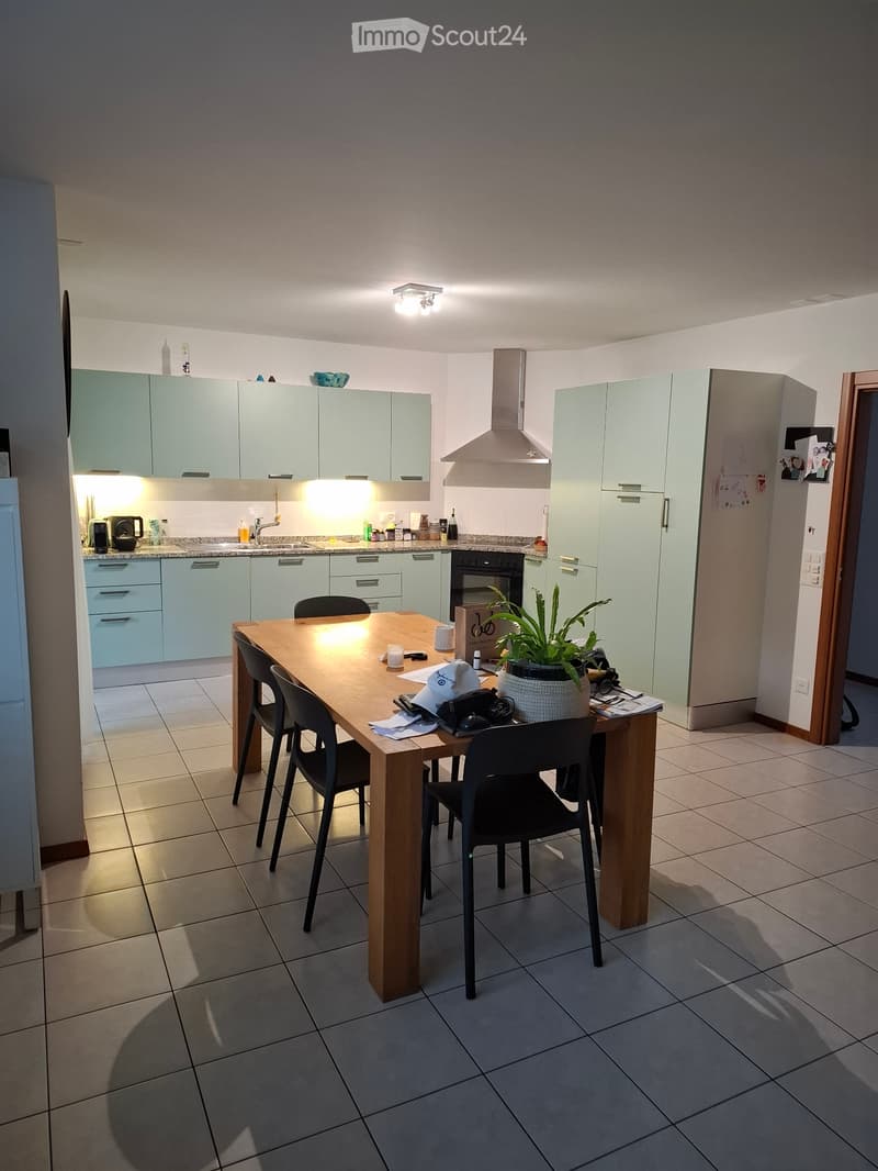 Losone loue appartement 4.5 pièces (3)