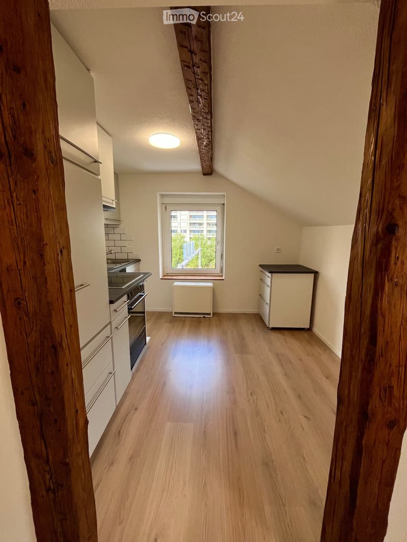 Beautiful 2.5 room apartment (4)