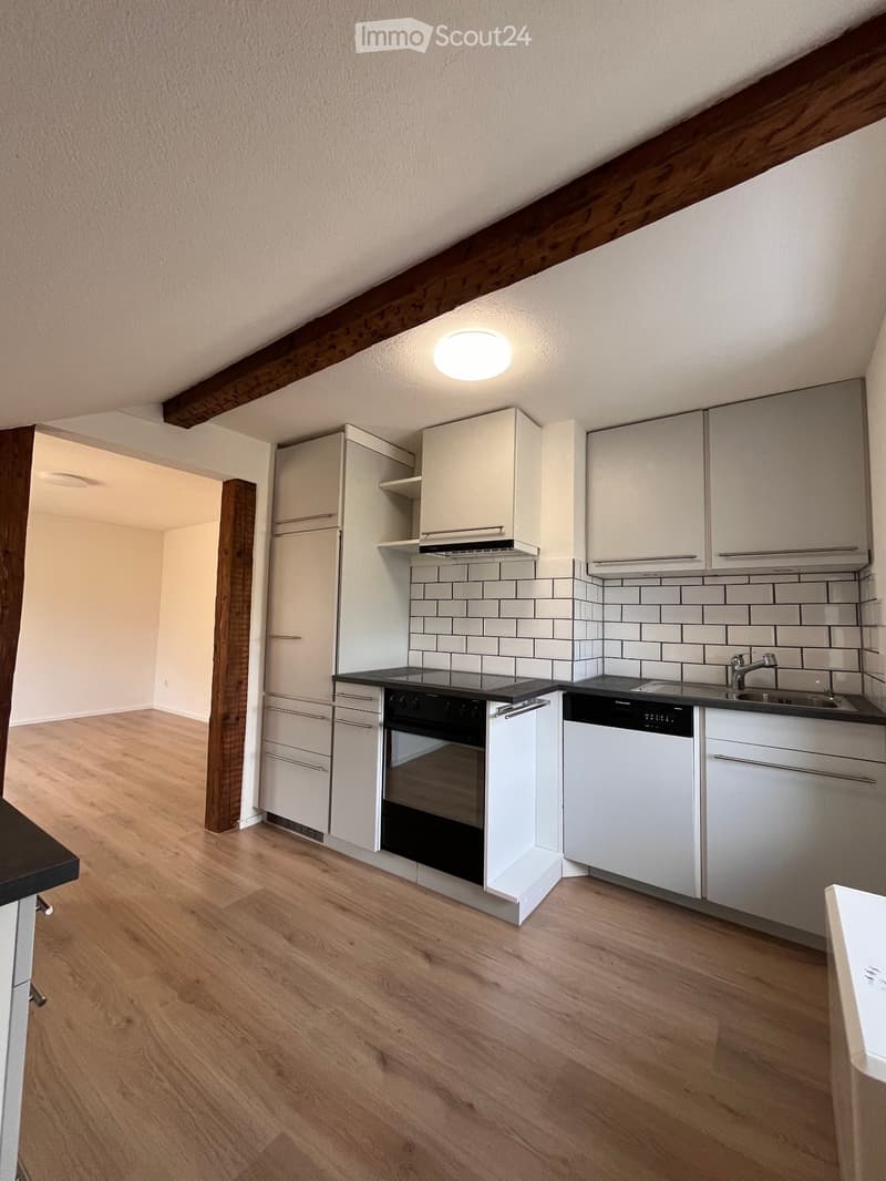 Beautiful 2.5 room apartment (1)
