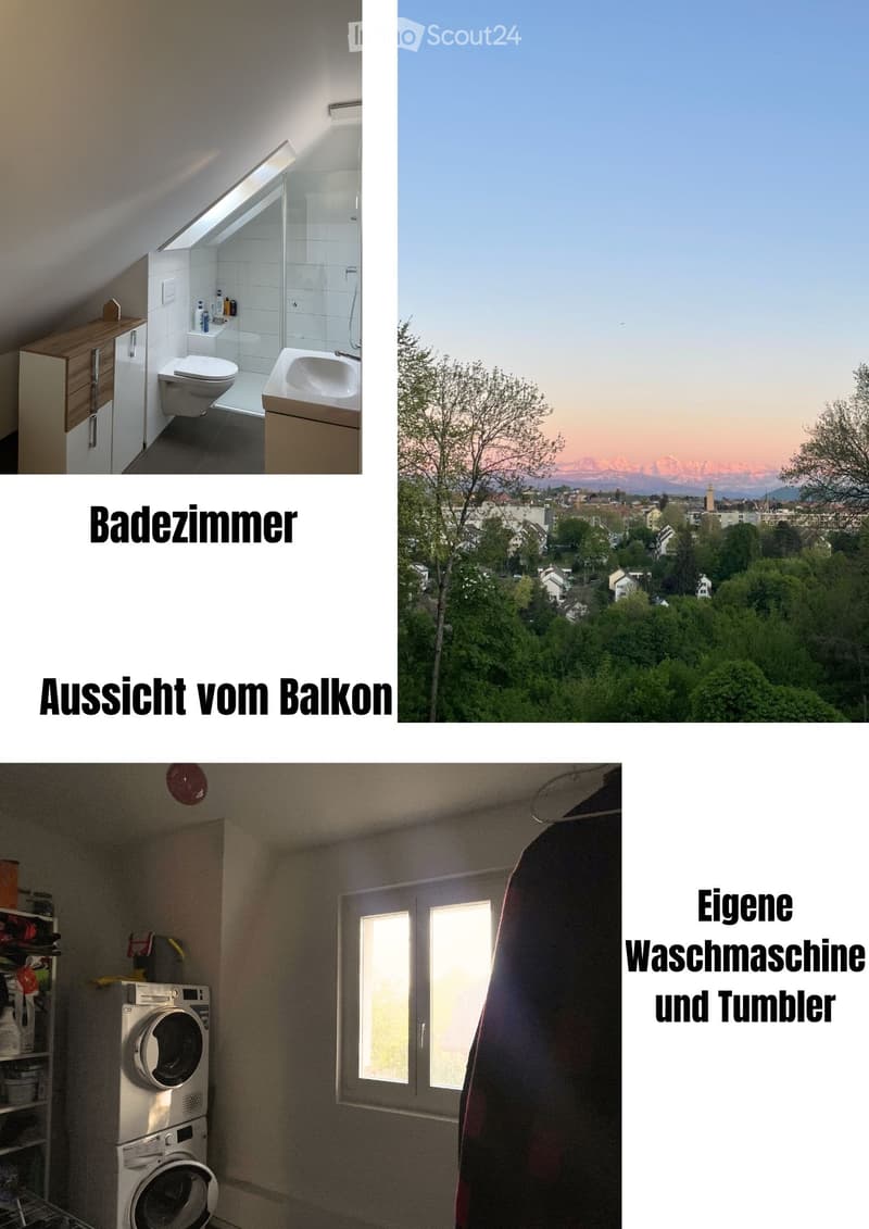 Chambre dans un appartement de vieille construction rénové avec vue panoramique (3)