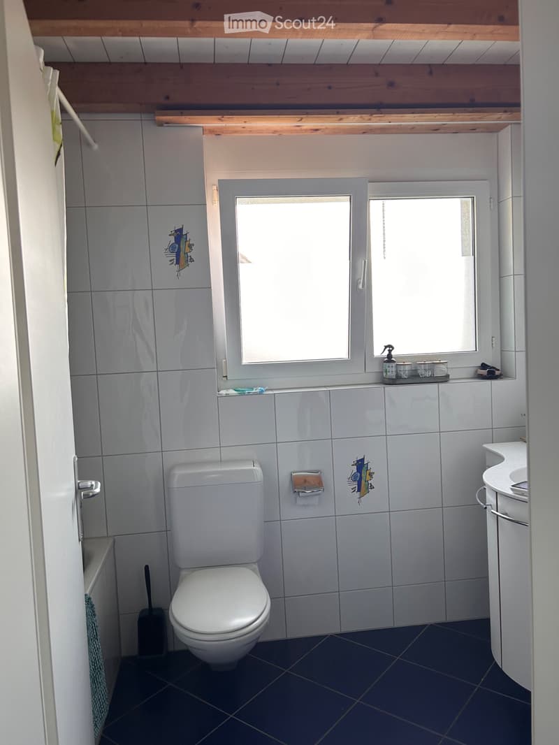 Ampio appartamento di 4,5 locali più galleria (4)