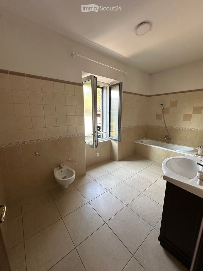 Rental apartment with 4.5 rooms (4)