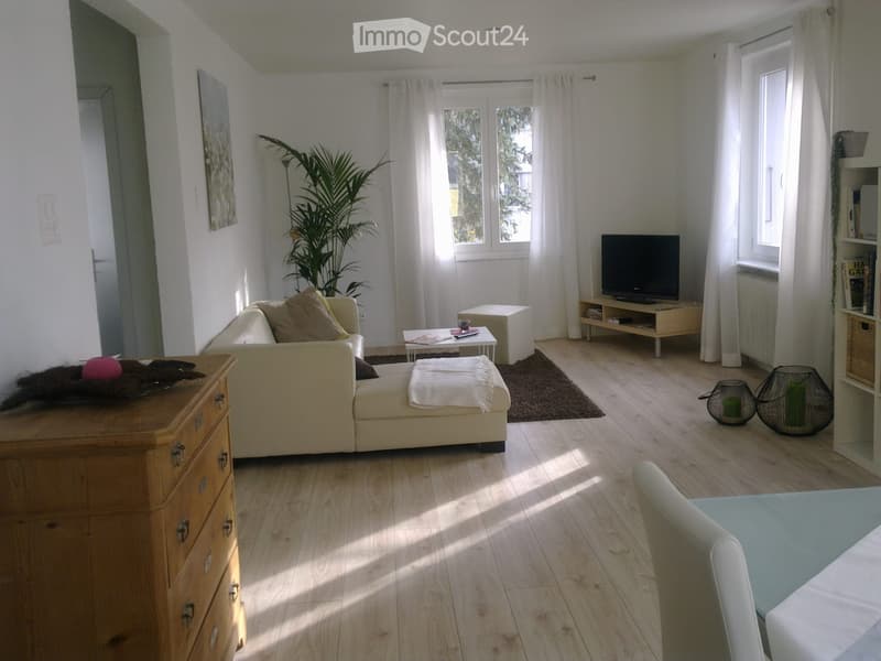 Helle 2,5 Zimmerwohnung mit grosser Terrasse (2)