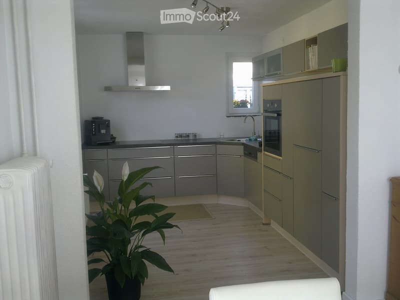 Helle 2,5 Zimmerwohnung mit grosser Terrasse (5)