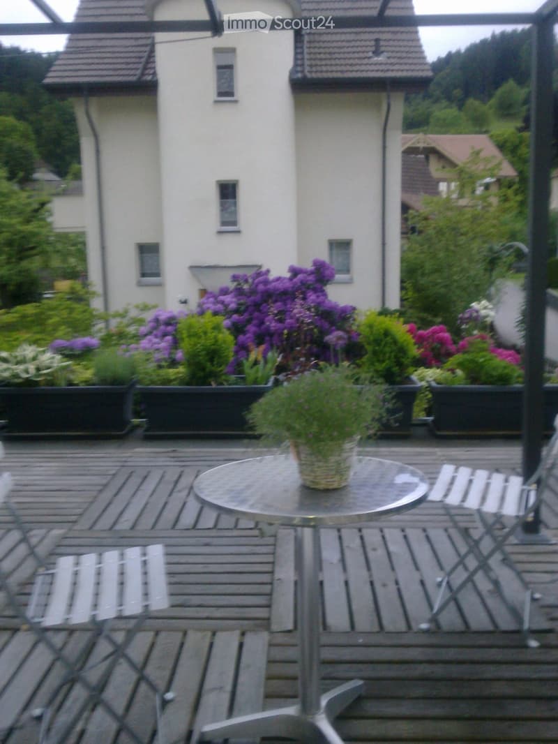 Helle 2,5 Zimmerwohnung mit grosser Terrasse (3)
