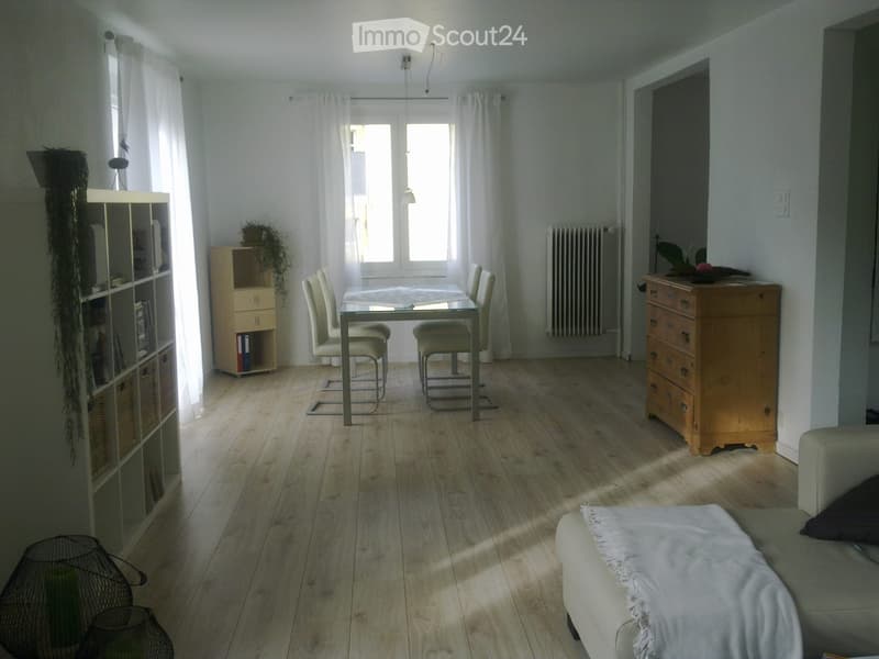 Helle 2,5 Zimmerwohnung mit grosser Terrasse (4)