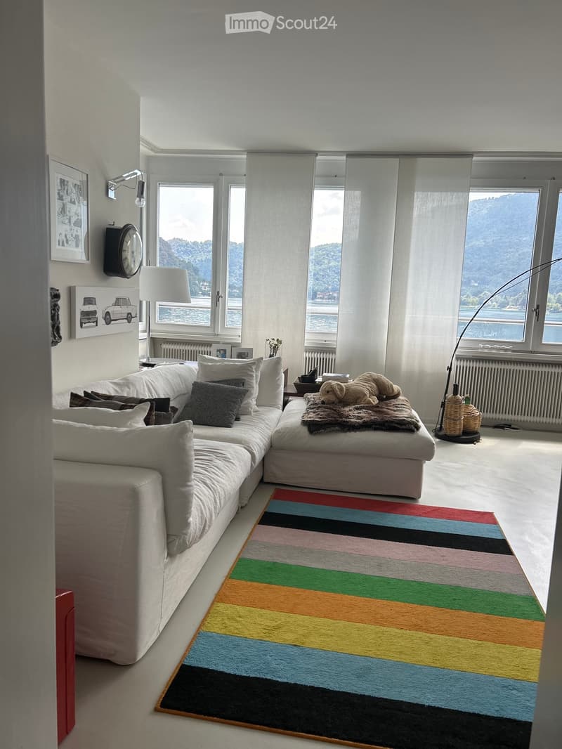 Elegante appartamento ammobiliato con vista lago (2)