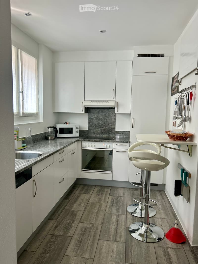 Elegante appartamento ammobiliato con vista lago (3)
