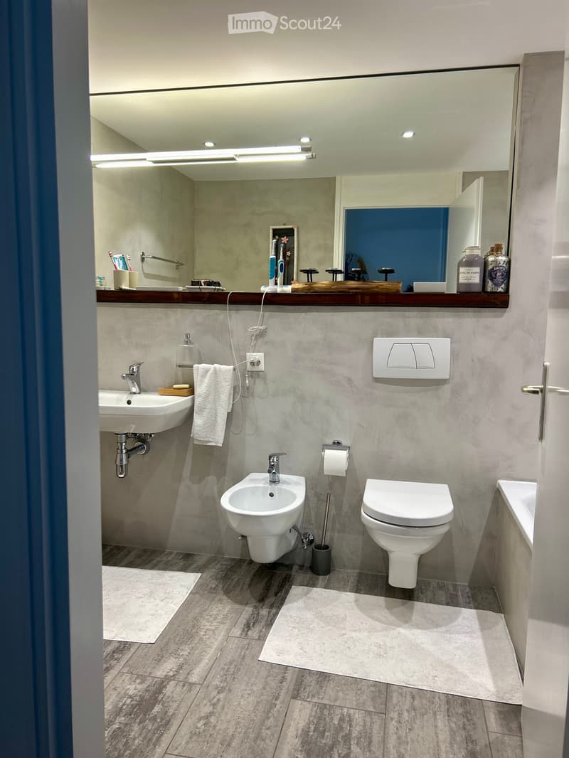 Elegante appartamento ammobiliato con vista lago (4)