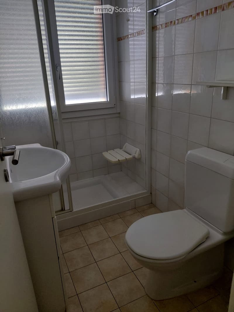 Wohnung 3.5 Zimmer zu verkaufen (4)