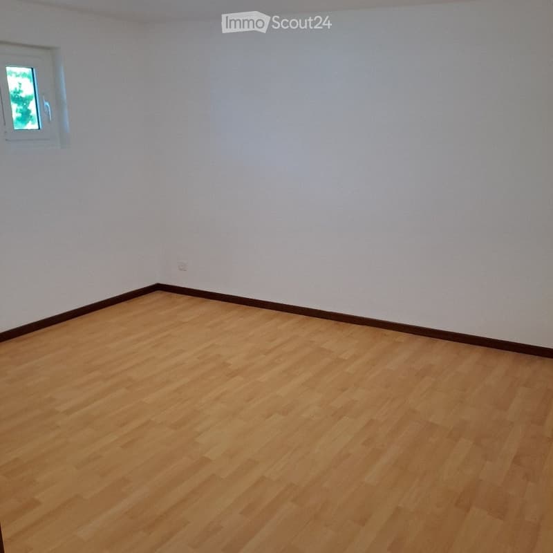 Helles 3,5-Zimmer-Apartment (4)