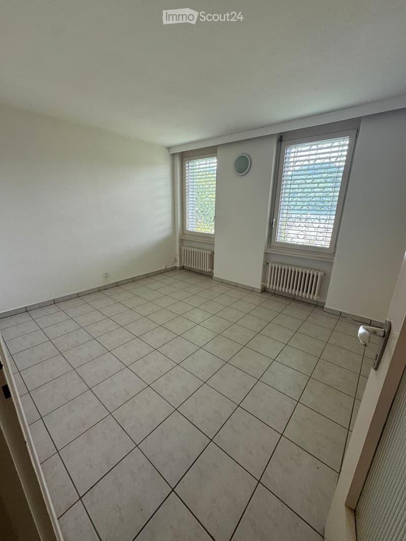 Apartment for rent 2.5 rooms Barbengo (5)