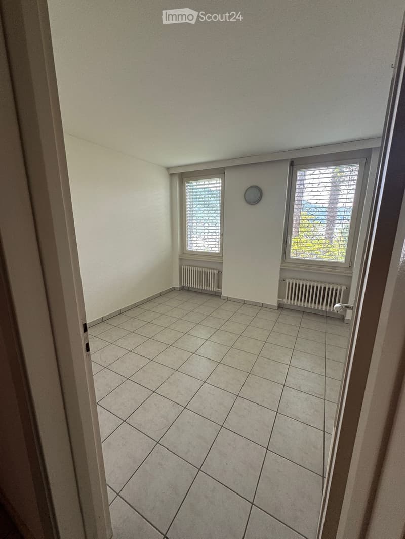 Apartment for rent 2.5 rooms Barbengo (3)