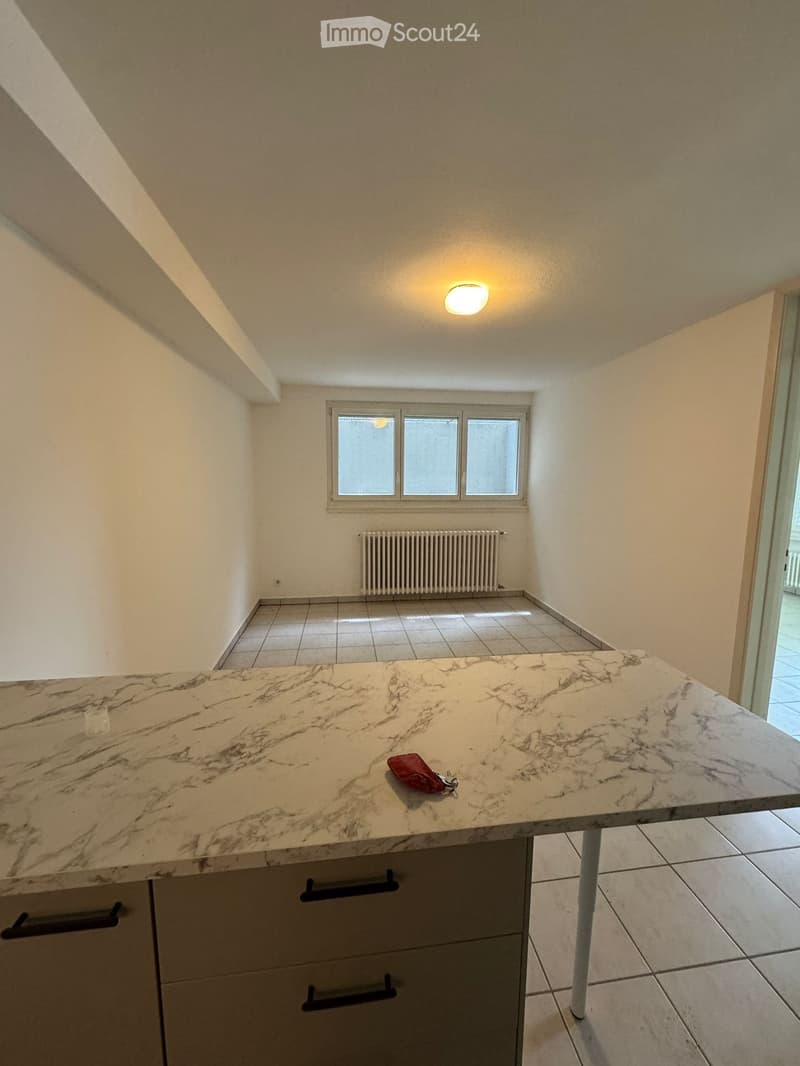 Apartment for rent 2.5 rooms Barbengo (2)