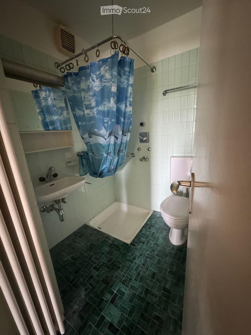 Apartment for rent 2.5 rooms Barbengo (4)