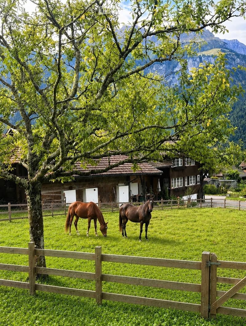 Horse paradise with building land, living in harmony (2)