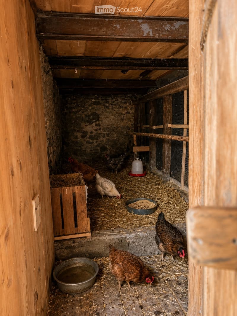 Horse paradise with building land, living in harmony (3)