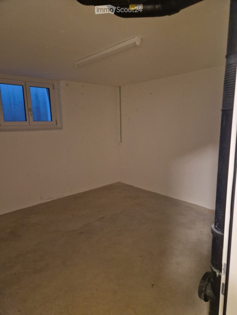 Pièce au sous-sol à louer 14 m² à Wauwil (1)