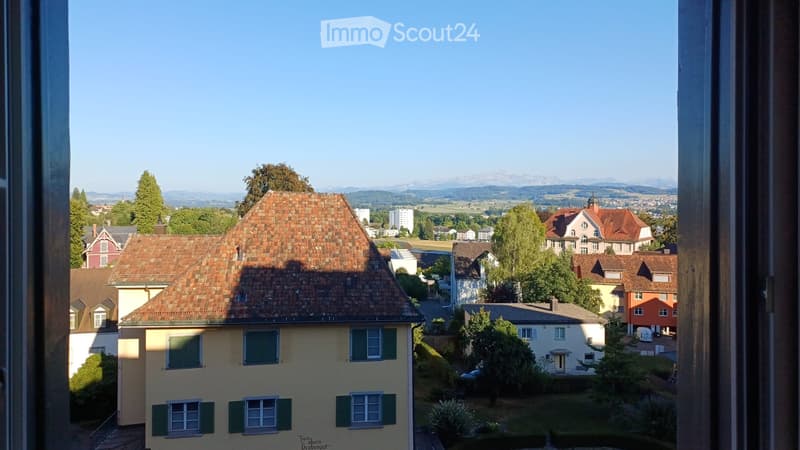 Appartamento 1.5 locali in affitto (4)