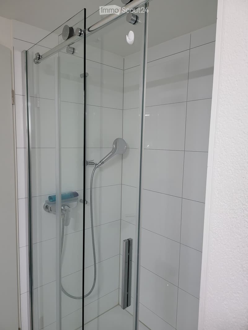 Top in price and amenities, tax residence, in the canton of Zug (8)