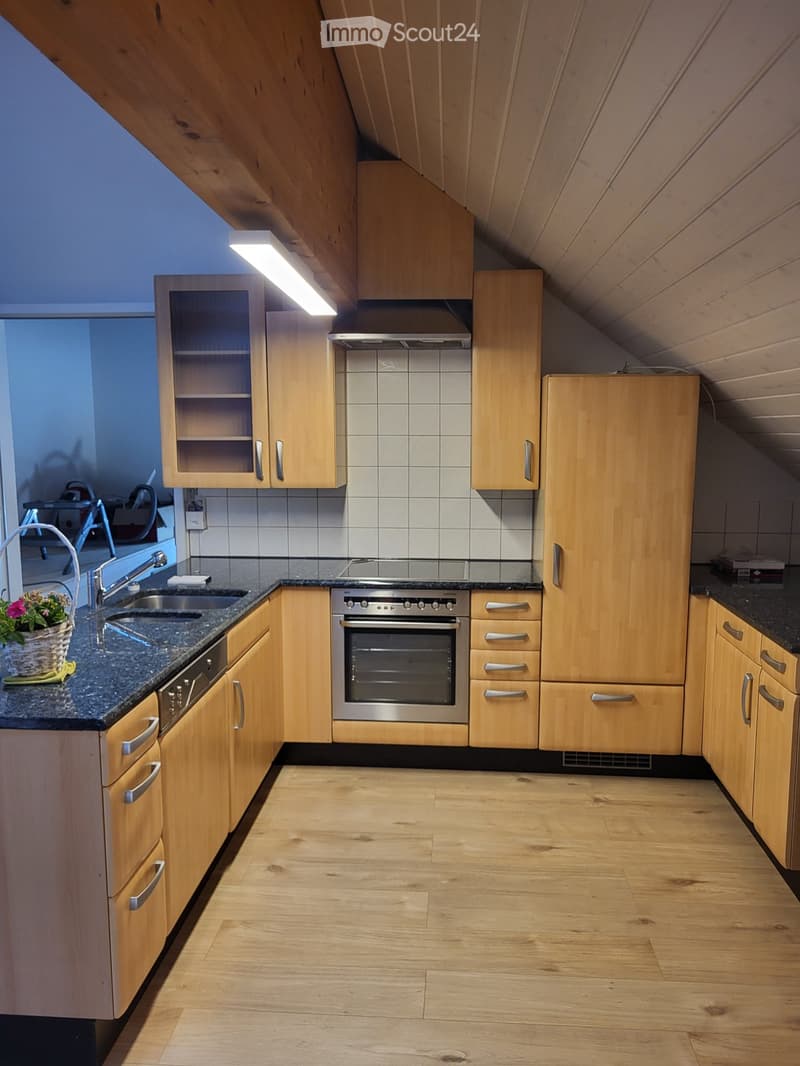 Einzigartige Loftwohnung in Amlikon Bissegg (1)