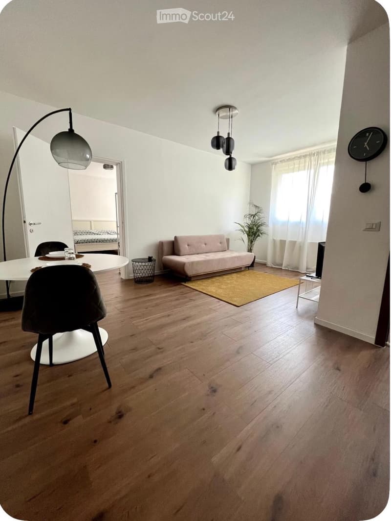Möbliertes 2.5-Zimmer-Apartment renoviert (3)