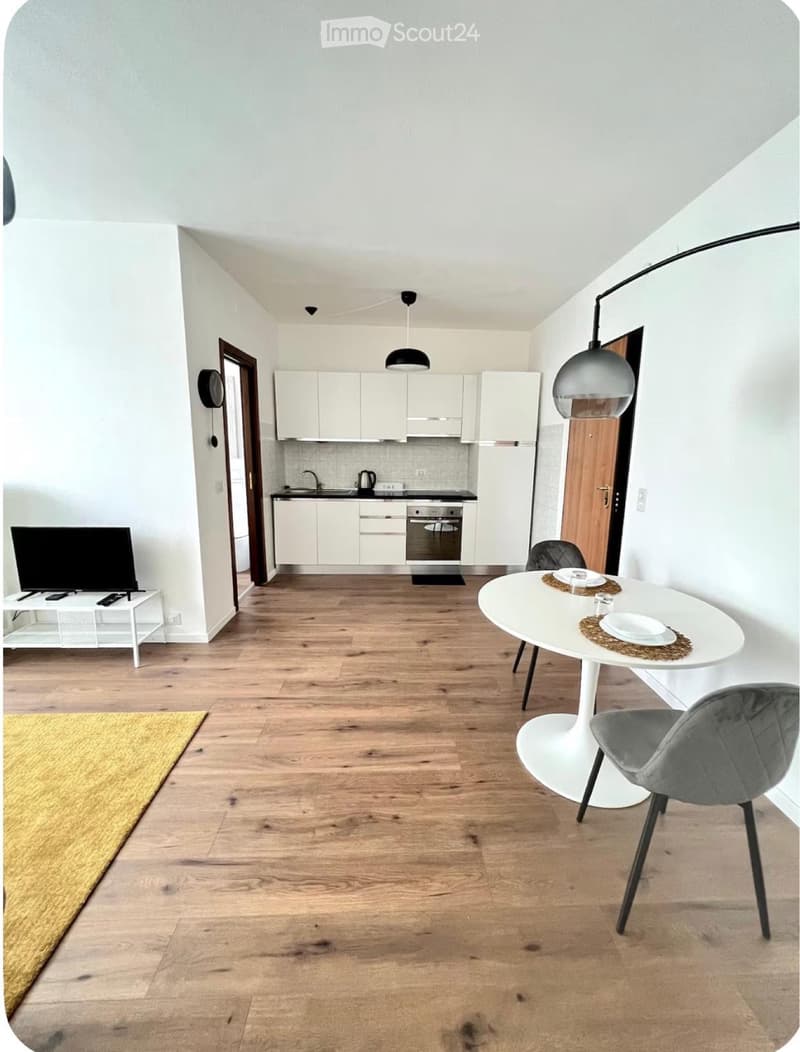 Möbliertes 2.5-Zimmer-Apartment renoviert (2)