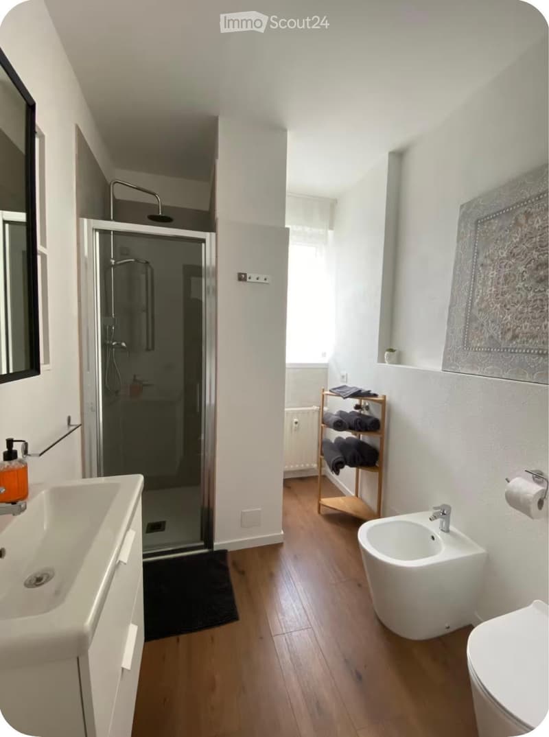 Möbliertes 2.5-Zimmer-Apartment renoviert (5)