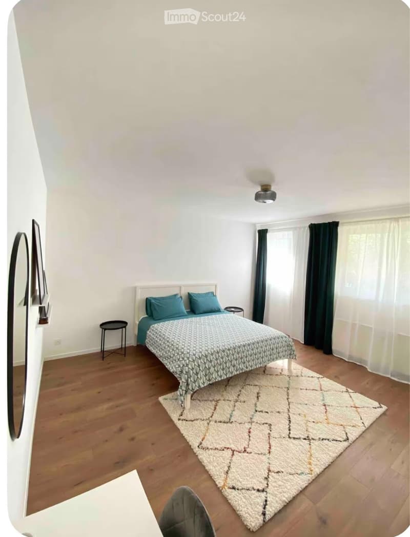 Möbliertes 2.5-Zimmer-Apartment renoviert (4)
