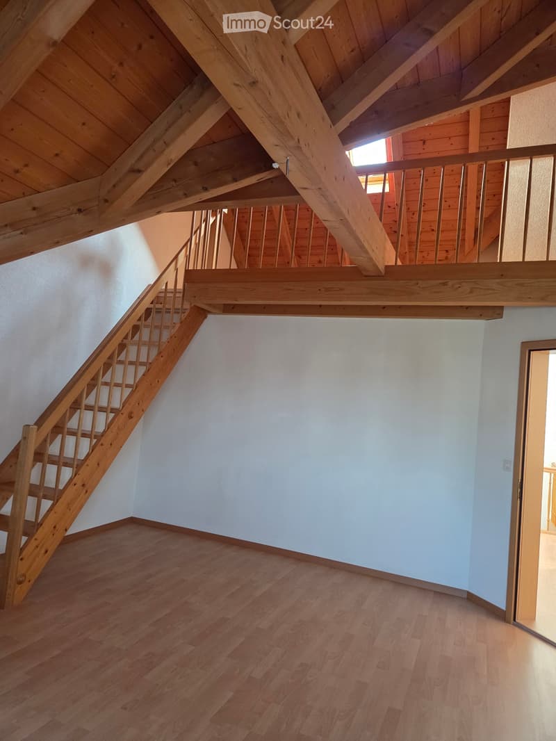 Large, bright 5.5-room apartment on a farm for rent (3)