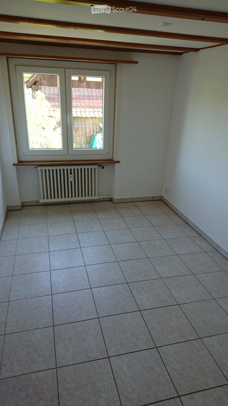 Appartamento tranquillo di 4,5 locali in zona verde (2)