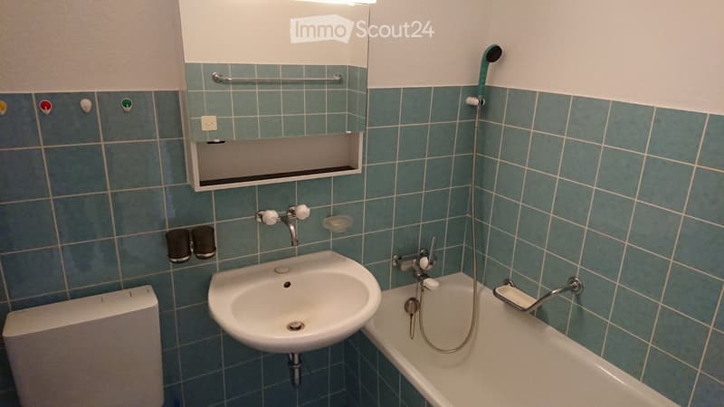 Appartamento tranquillo di 4,5 locali in zona verde (5)
