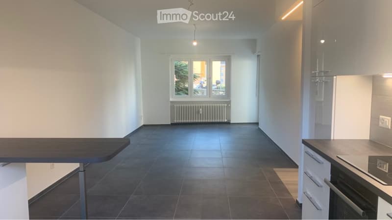 Appartamento 3 locali ristrutturato vicino all'EOC (4)