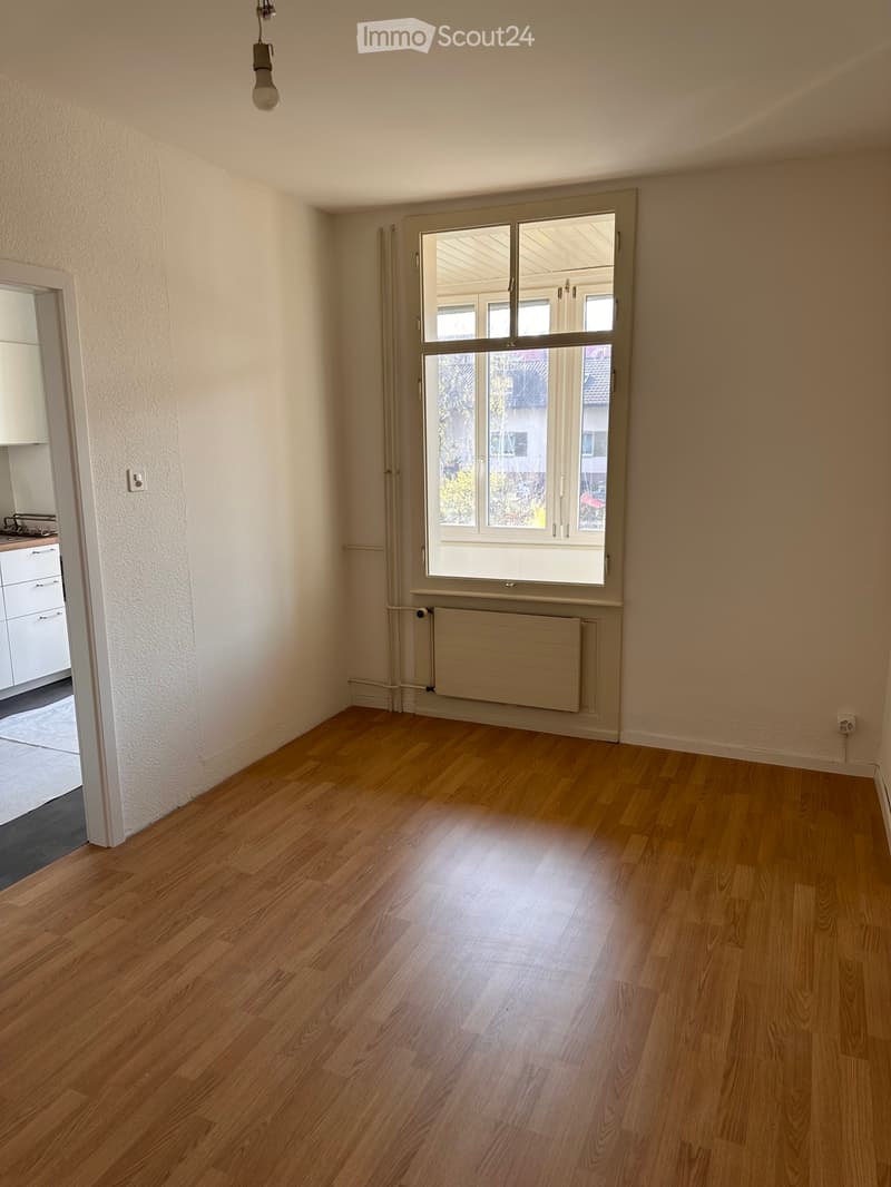 3.5-Zimmer Altbauwohnungen in Binningen (über 70 m²) (5)