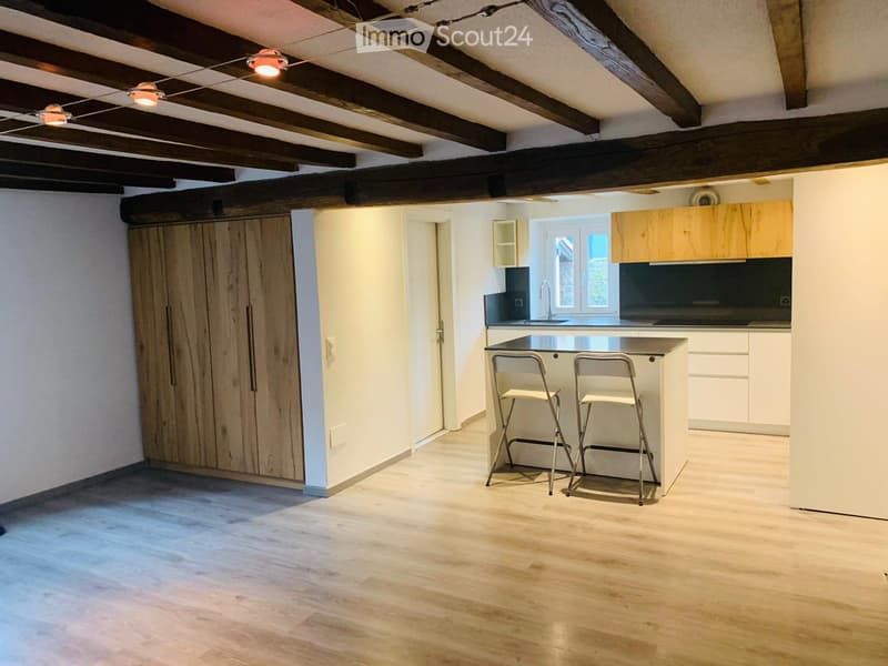 Faszinierendes Einzimmerapartment im historischen Zentrum von Sonvico (1)