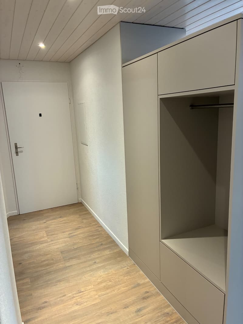 Neu renovierte 3.5 Zimmerwohnung (4)