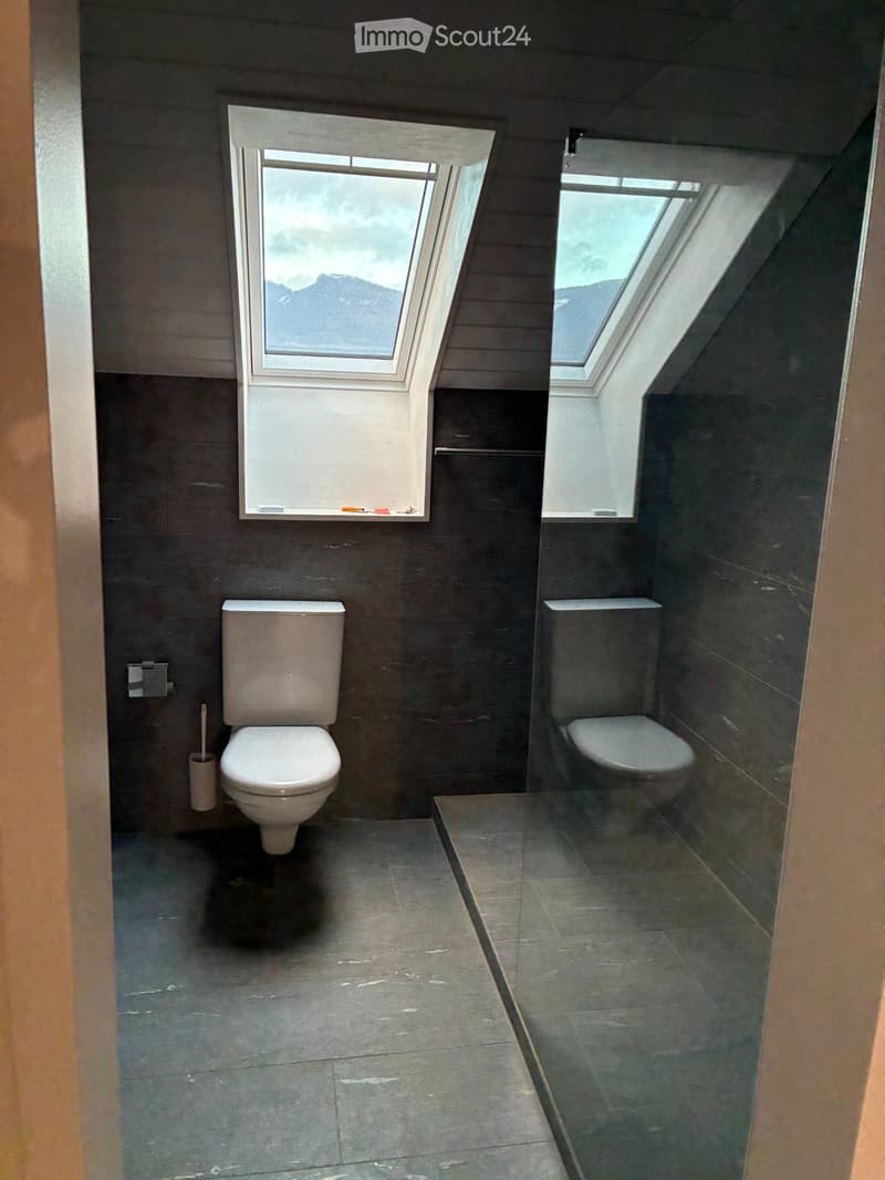 Neu renovierte 3.5 Zimmerwohnung (2)