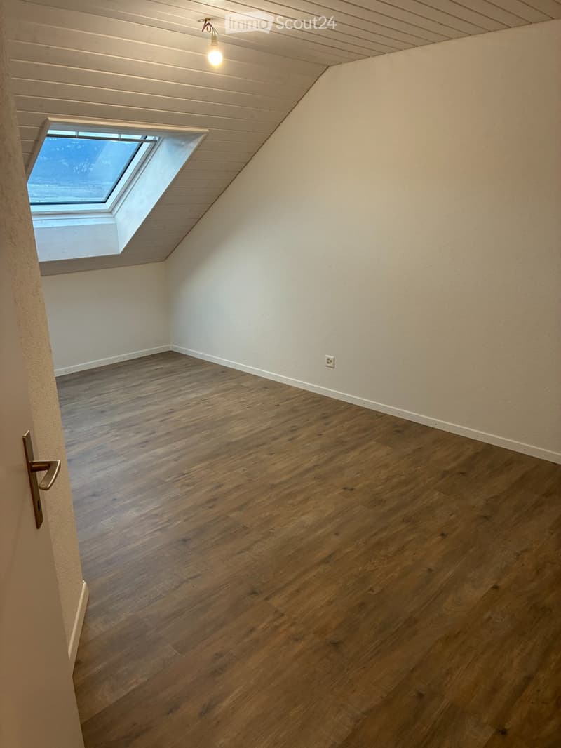 Neu renovierte 3.5 Zimmerwohnung (3)