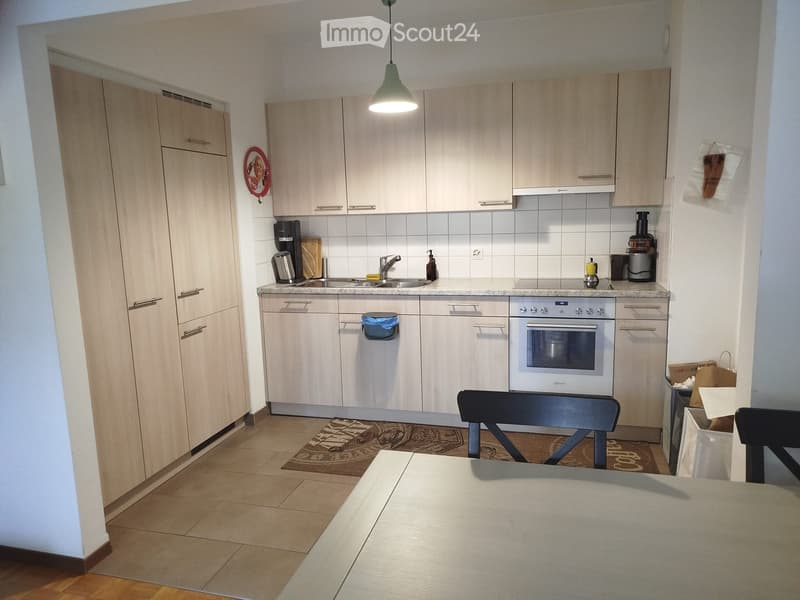 Wohnung 2,5 Agno (3)