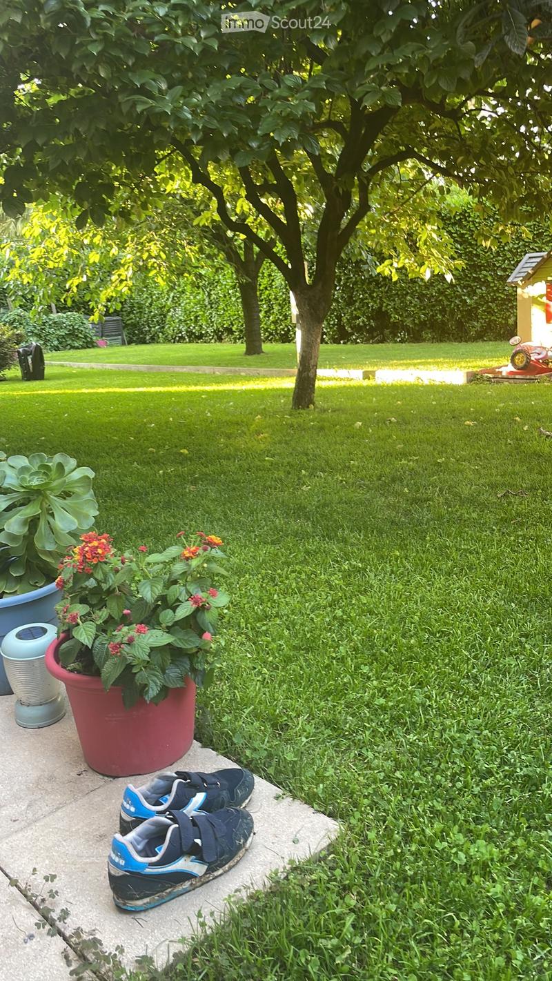 We are selling a 5-room apartment in Caslano (5)