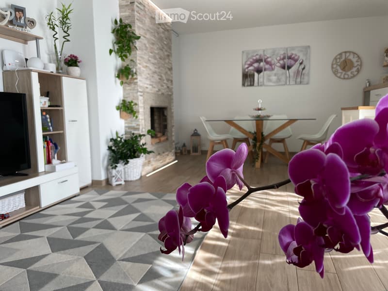 We are selling a 5-room apartment in Caslano (3)