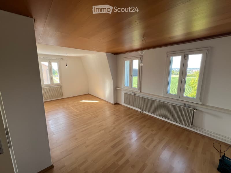 Appartement 4 pièces à louer (2)