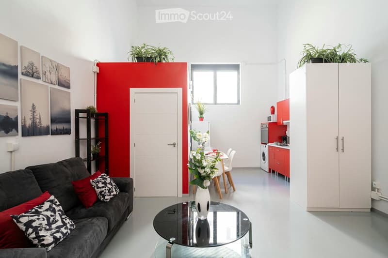 Modernes Studio von 50 m², hell, voll ausgestattet (1)