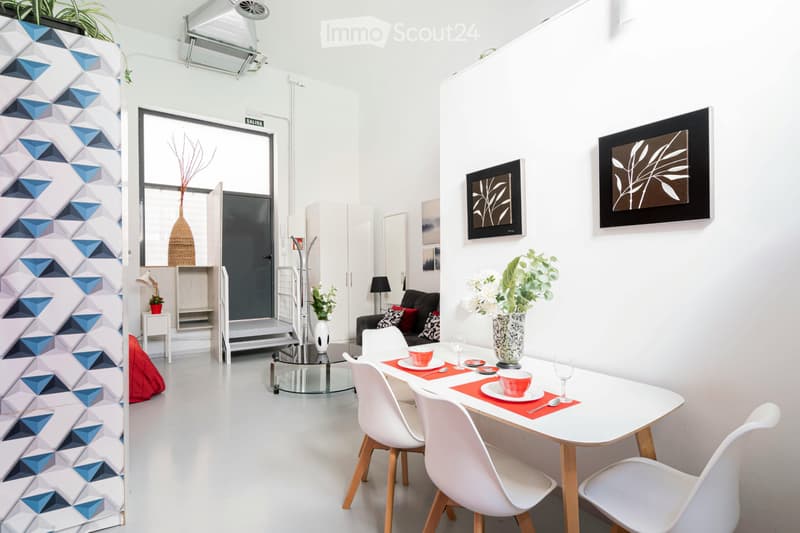 Modernes Studio von 50 m², hell, voll ausgestattet (3)