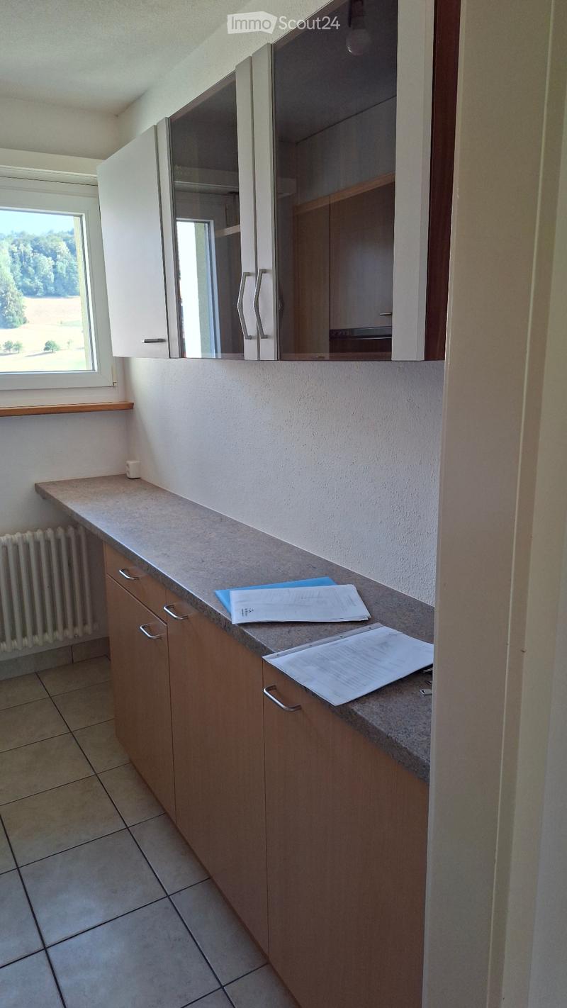 4,5 Zimmer Wohnung (3)